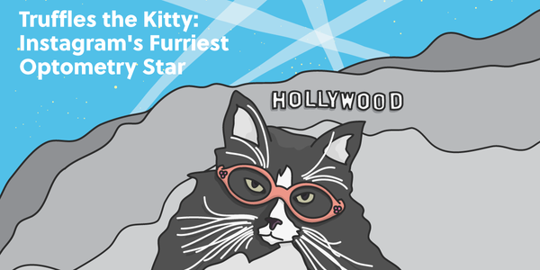 Truffles the Kitty: Instagram's Furriest Optometry Star