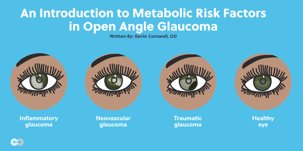 An Introduction to Metabolic Risk Factors in Open Angle Glaucoma